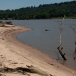 Color photo of sandbar beach on Arkansas River near Campbell Lake in Arkansas