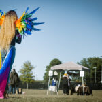 Color photograph of Drag Artist wearing rainbow wings looking off into the horizon as if about to take wing and fly