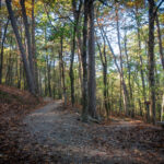 Color nature and landscape photograph of Trail on west mountain near hot springs, Arkansas