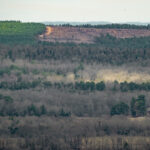 color photograph of deforestation of hillside by logging companies near Wye, Arkansas
