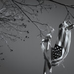 Black and white abstract fine art photography of ripped and torn american flag snared in a tree in the wright avenue neighborhood of Little Rock Aransas with a clear winter sky as backdrop.