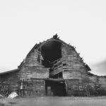 Black and white photo of decaying old barn in Sheridan Arkansas